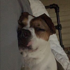 Meet your Posher, Grady